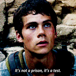 tumblr_niszp3neXu1rc44lao2_250